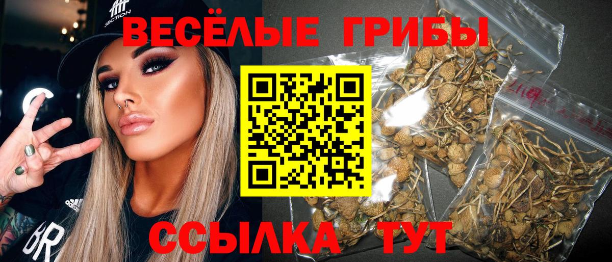 Галлюциногенные грибы ЛСД Усинск